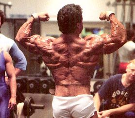 gaspari.bmp