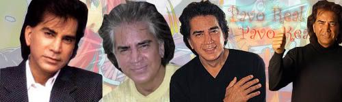 Imagen enviada