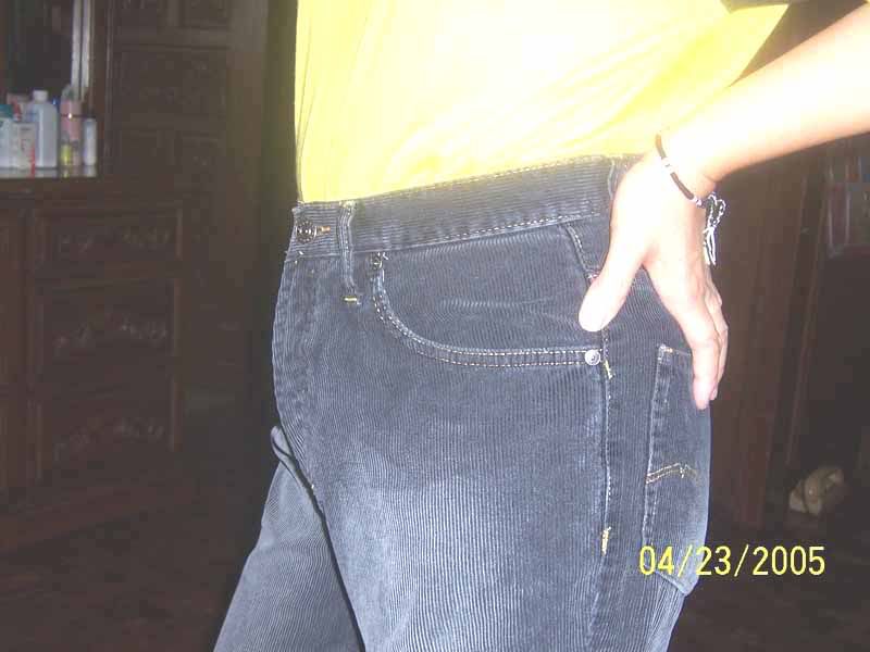 Crotch Holster