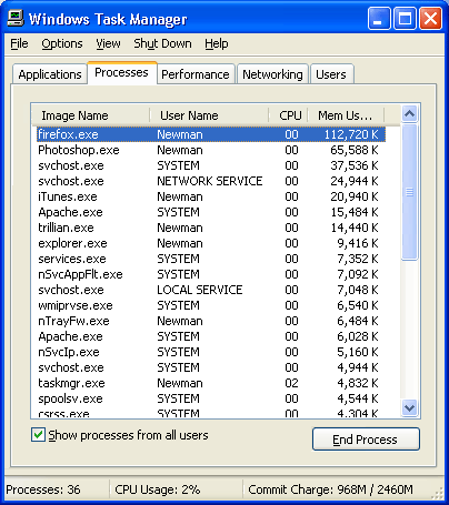 http://img.photobucket.com/albums/v516/ctnewman2/taskmanager.gif