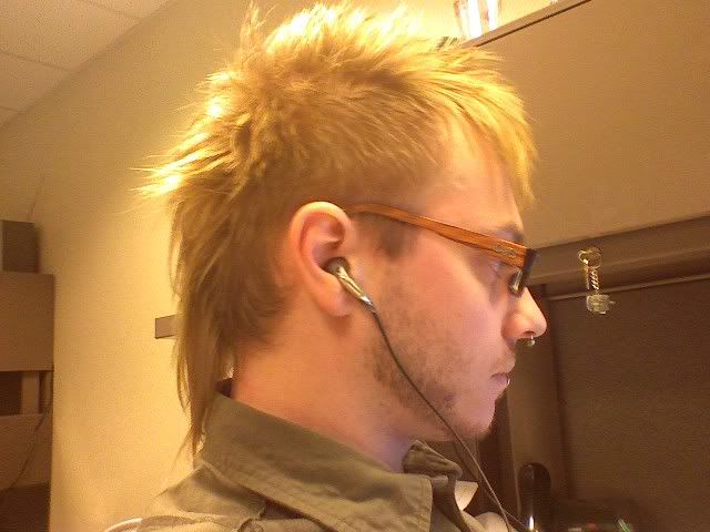 http://img.photobucket.com/albums/v516/ctnewman2/wtf1000/mullet.jpg