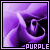 Purple Fan