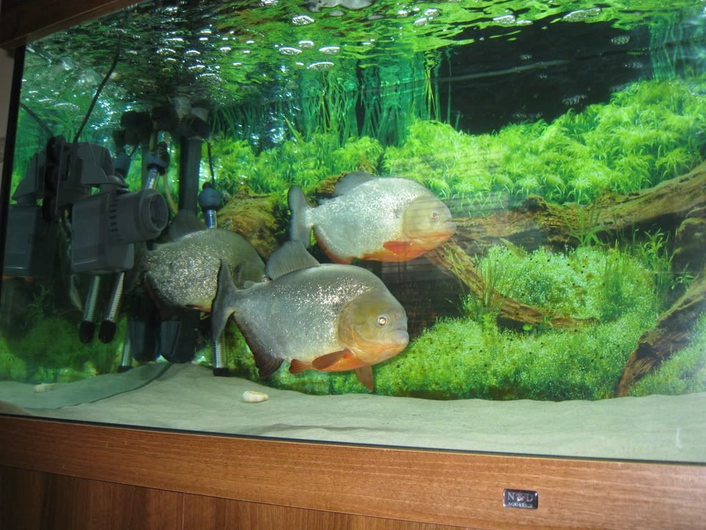 Picture014.jpg