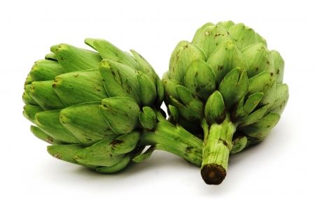  photo artichoke.jpg