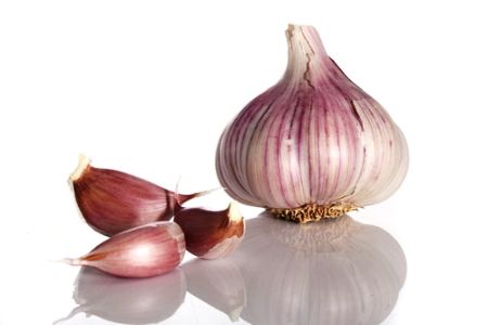  photo garlic.jpg