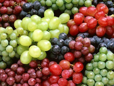  photo grapes.jpg