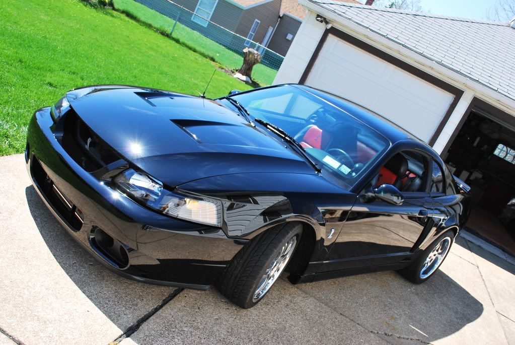 http://img.photobucket.com/albums/v518/bladez3919/SVTCobra/cobradetail027.jpg