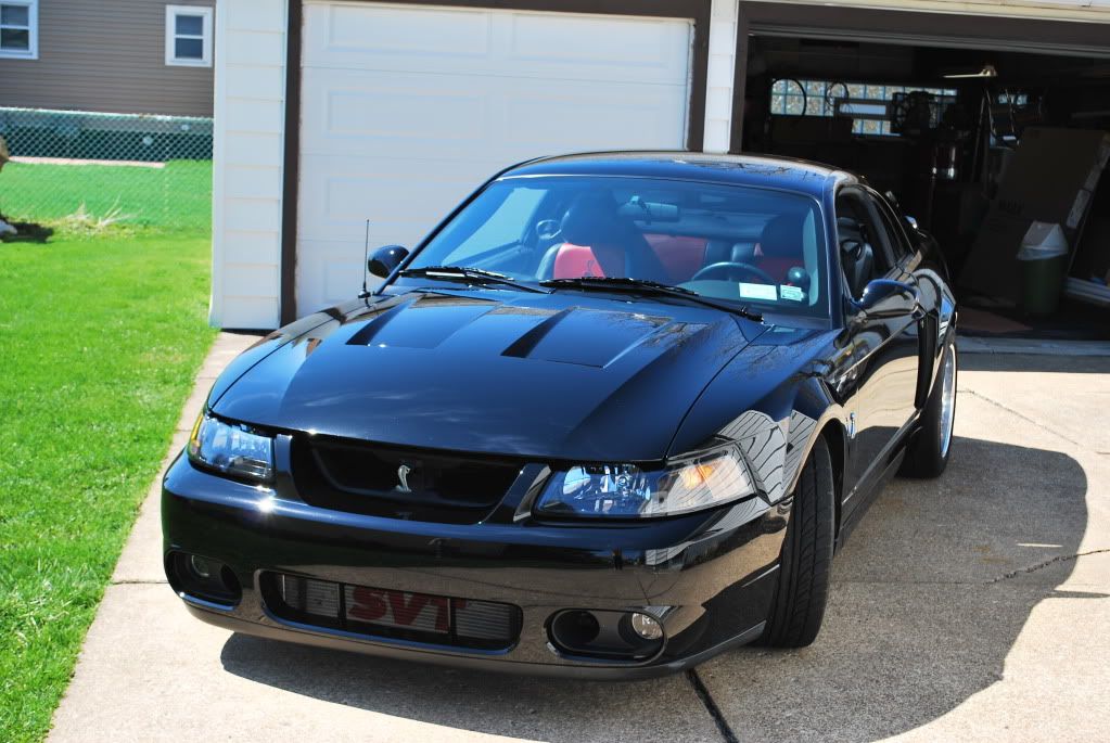 http://img.photobucket.com/albums/v518/bladez3919/SVTCobra/cobradetail030.jpg