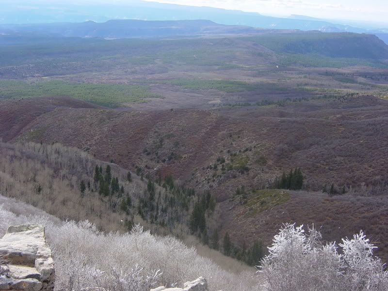 20061