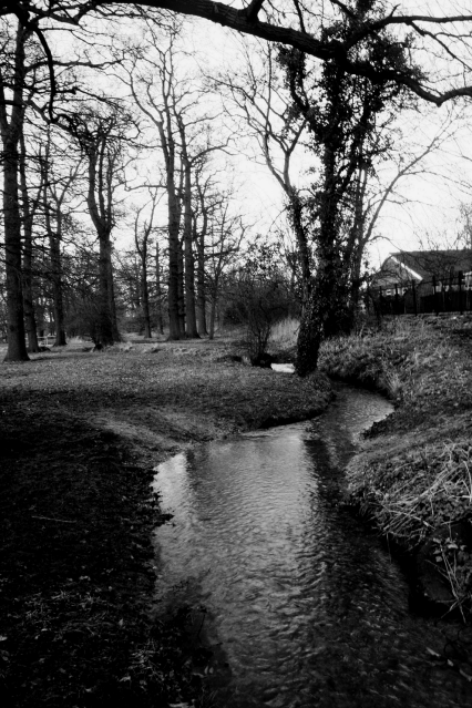 IMAGE: http://img.photobucket.com/albums/v518/kiss_me_now9/Photos/stream2.png