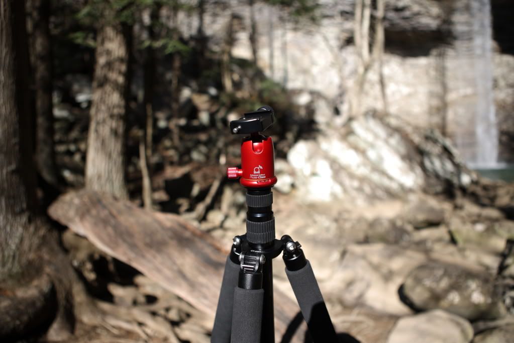 IMAGE: http://img.photobucket.com/albums/v518/plasticmotif/IMG_2086.jpg