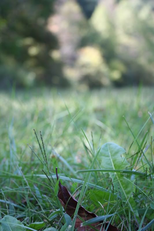 IMAGE: http://img.photobucket.com/albums/v518/plasticmotif/IMG_6602.jpg