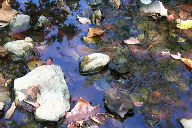 IMAGE: http://img.photobucket.com/albums/v518/plasticmotif/IMG_6634.jpg