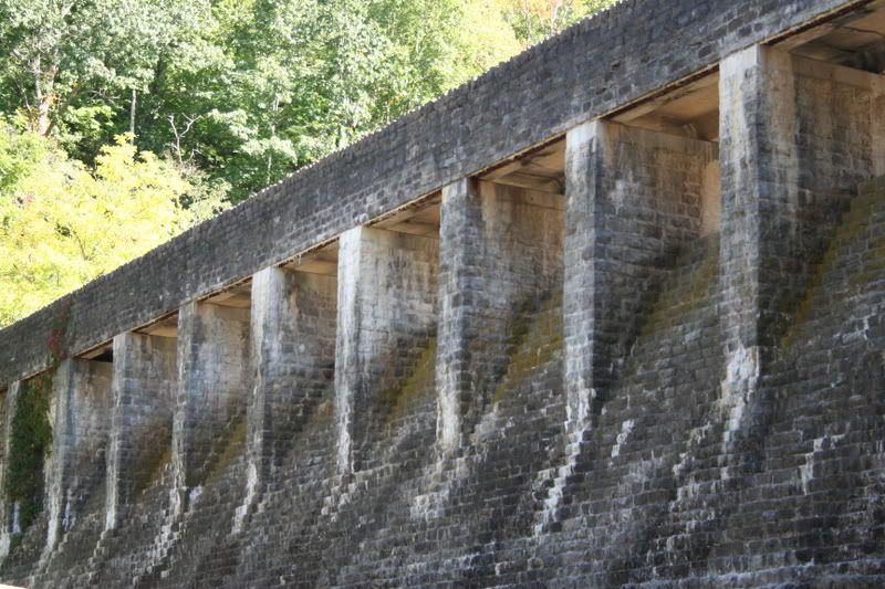 IMAGE: http://img.photobucket.com/albums/v518/plasticmotif/IMG_6730.jpg