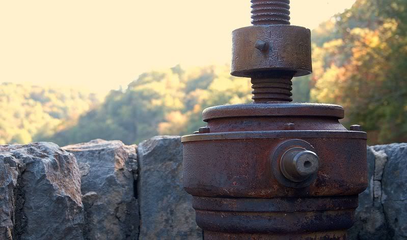 IMAGE: http://img.photobucket.com/albums/v518/plasticmotif/IMG_6852.jpg