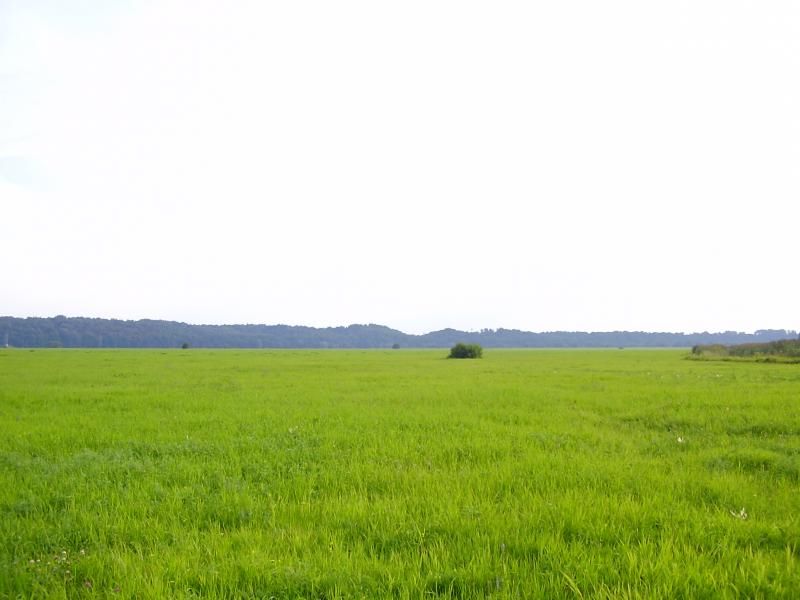Paveikslėlis