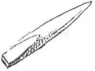 Paveikslėlis