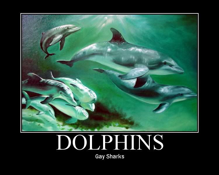 dolphins-are-just-gay-sharks.jpg
