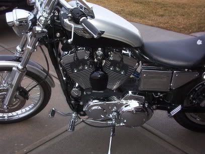 Sportster+horn+cover