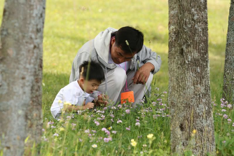 IMAGE: http://img.photobucket.com/albums/v519/dangsr/jIMG_0390med.jpg