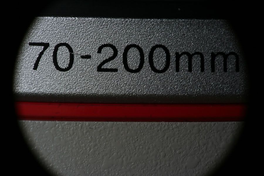 IMAGE: http://img.photobucket.com/albums/v519/dangsr/macro/IMG_8191med.jpg