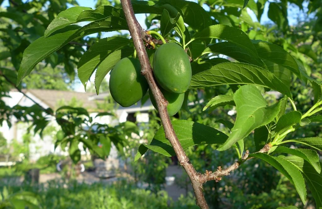 photo alderman-1.jpg