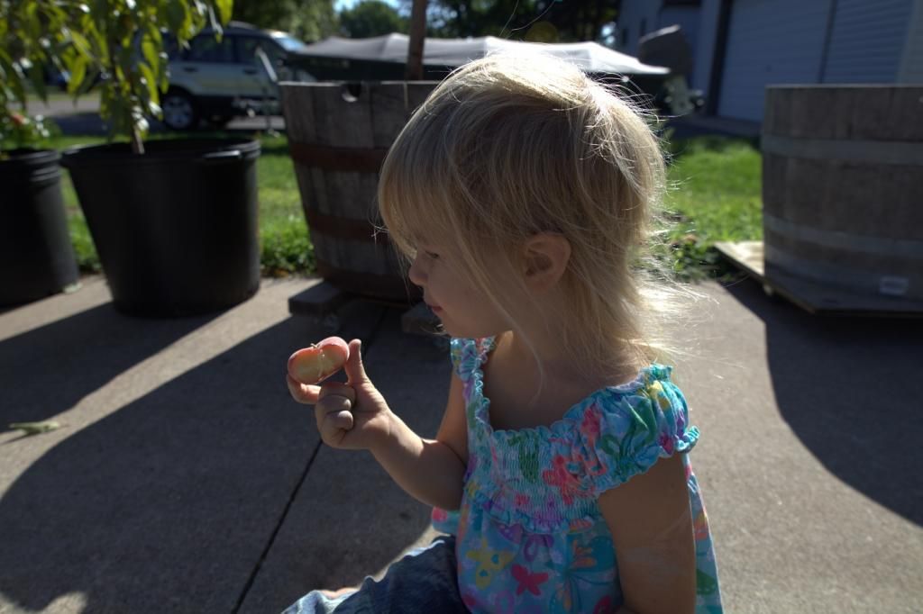 photo elysium813.jpg