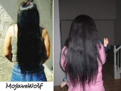 List Hairstyles on The Long Hair Community   List Of Long Hair Friendly Salons  Including