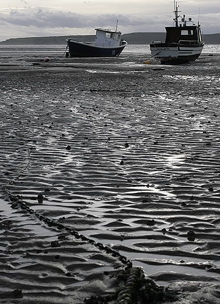 IMAGE: http://img.photobucket.com/albums/v520/V6GTO/Landscape/Weston2.jpg