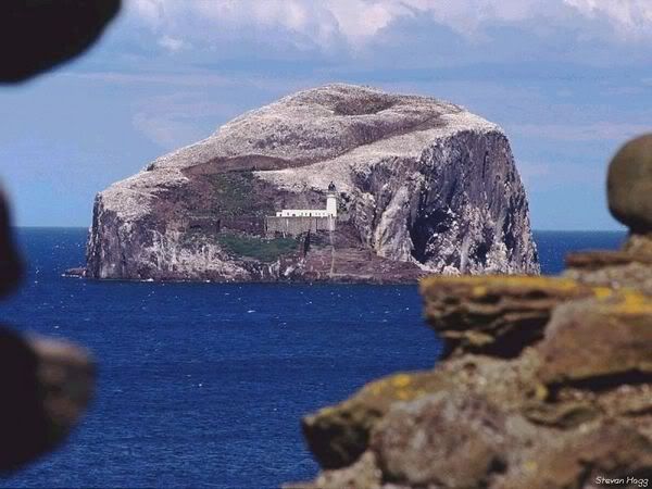 bass rock semblance