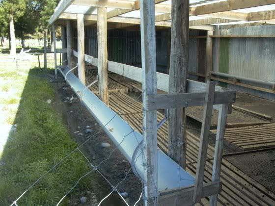 Goat Feed Troughs Plans