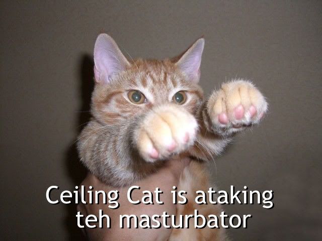 ceilingcat2.jpg