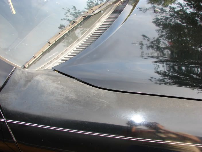 IPB Image