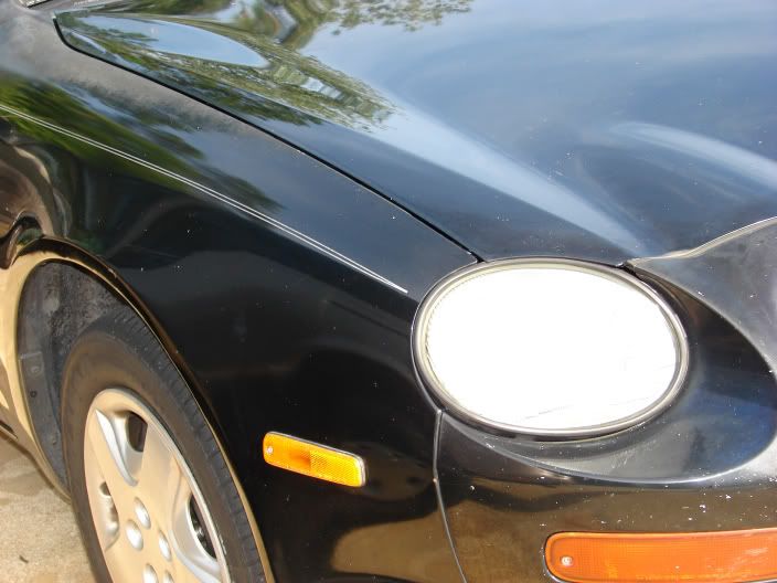 IPB Image