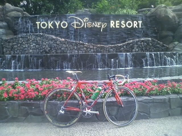 Disney Resort