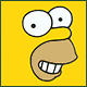 Homer-Face2.gif