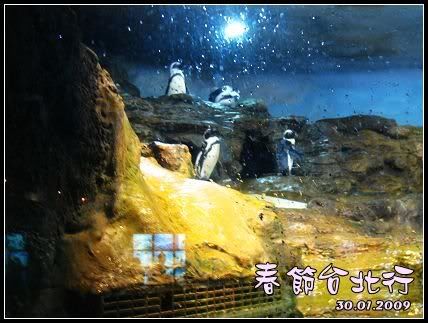 IMG_0525.jpg picture by jingyi87