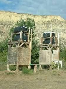 DSCF0598.jpg finding temporary refuge in a pair of outdoor showers. image by painfulribs