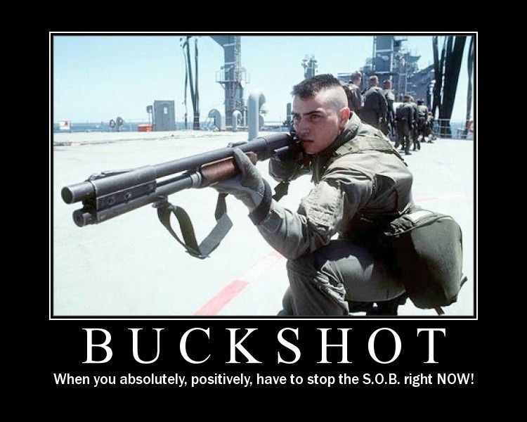 buckshot.jpg