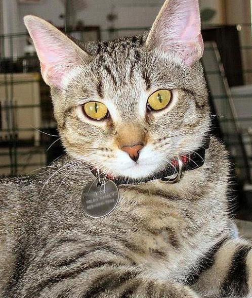 IMAGE: http://img.photobucket.com/albums/v53/PurpleSusa/IsSam/Jacob1-15-09smudge.jpg