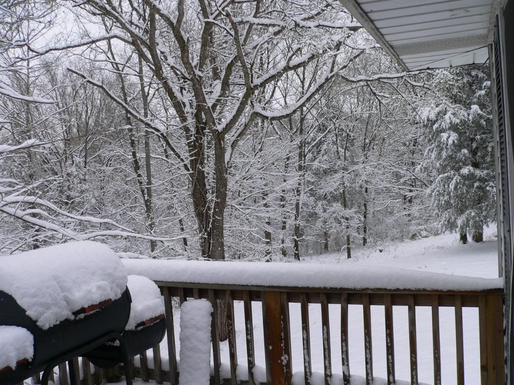 MarchSnowMore030.jpg
