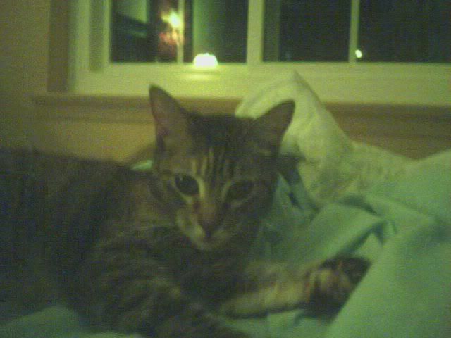Image010.jpg