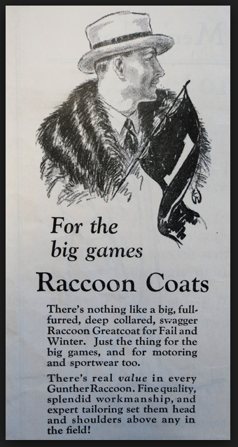racoon_ads_zps84b9aabf.png