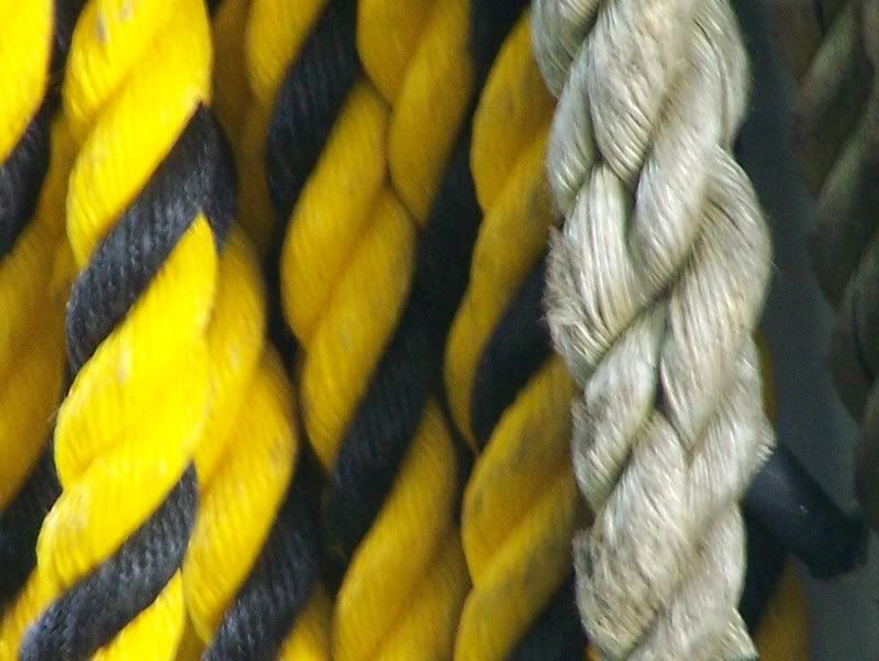 cool rope shot