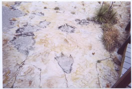 Image hosted by Photobucket.com