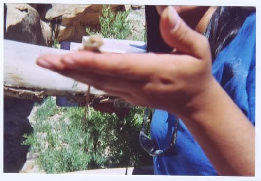 Image hosted by Photobucket.com