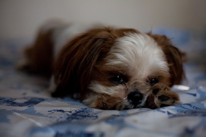 IMAGE: http://img.photobucket.com/albums/v54/Akurin/jHo/IMG_0467.jpg