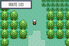 25route103.png
