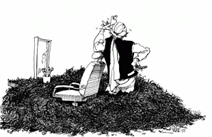 Cartoon by Riber Hansson, Sweden, Svenska. Source:http://cagle.slate.msn.com/news/byebyeBEARDS/main.asp