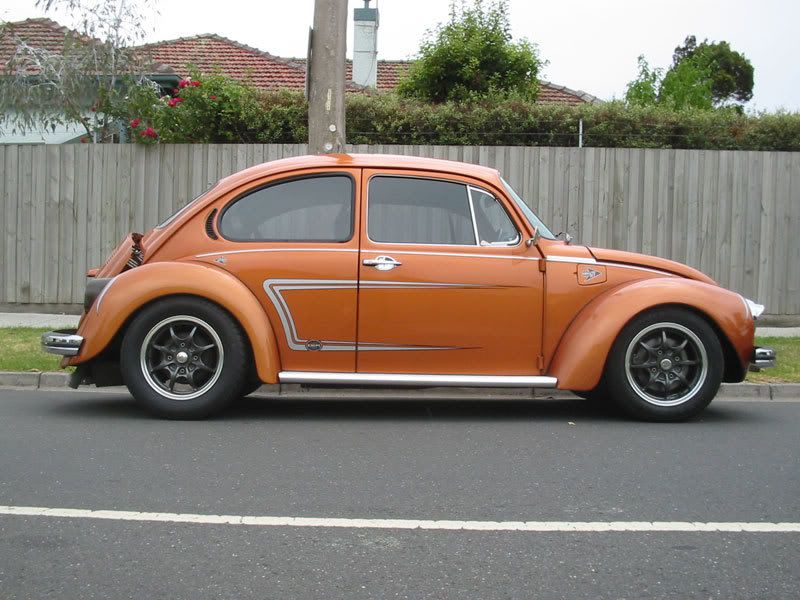 http://img.photobucket.com/albums/v55/egeworks/bug060107.jpg